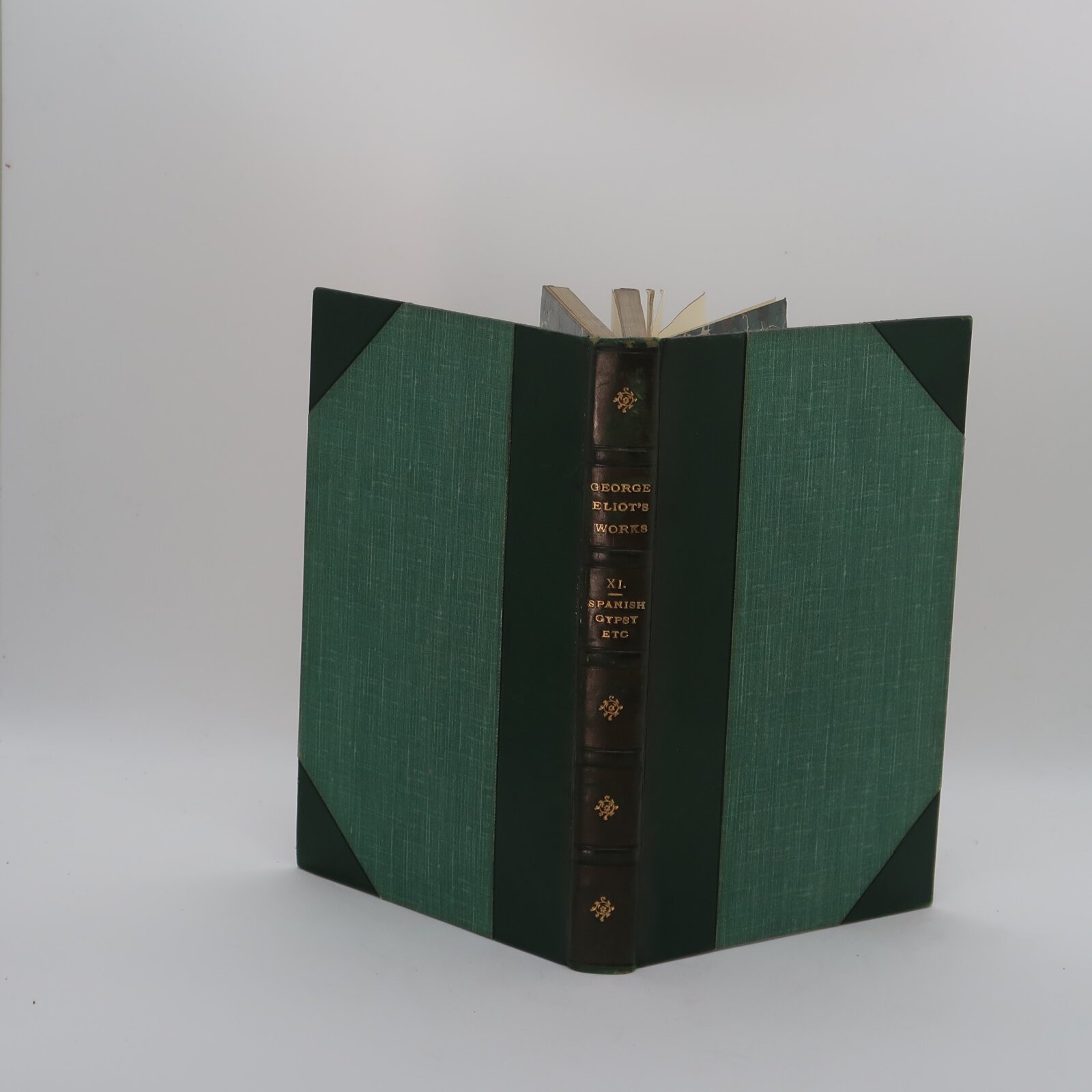 Photo of Spanish Gypsy.