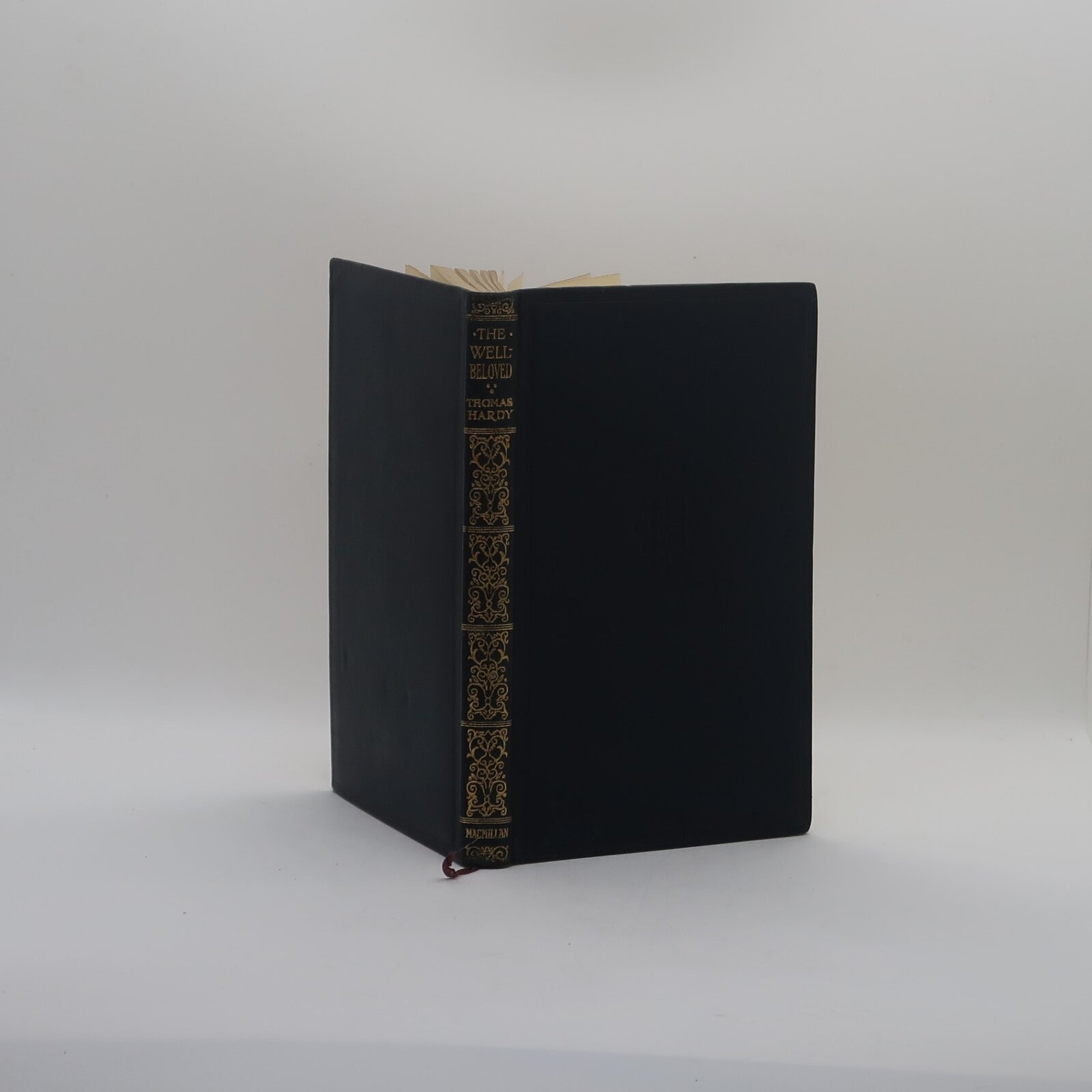 Photo of The Well-beloved.