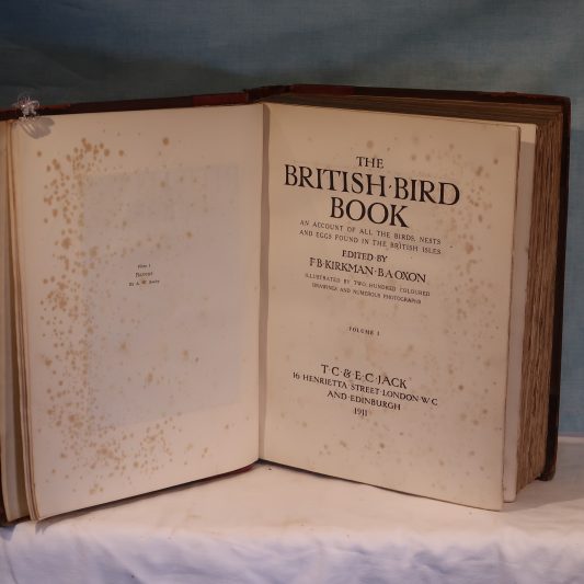The British Bird Book. Four Volumes. - Image 3