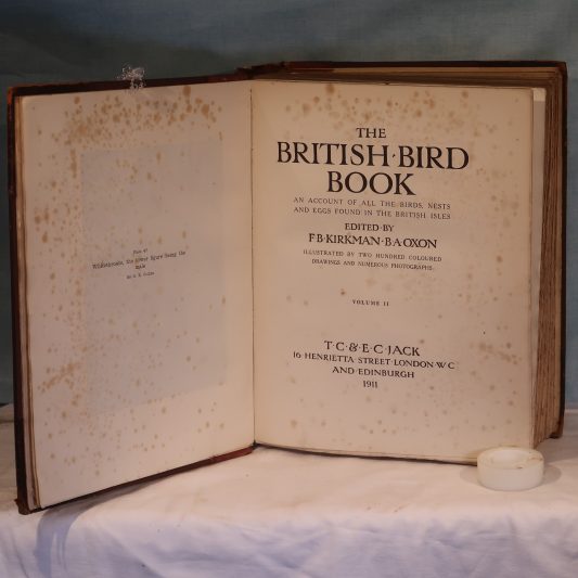 The British Bird Book. Four Volumes. - Image 9