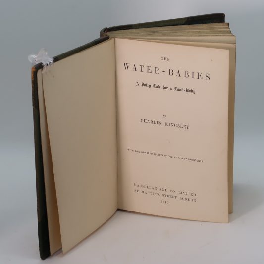 Water Babies. Kingsley - Image 3