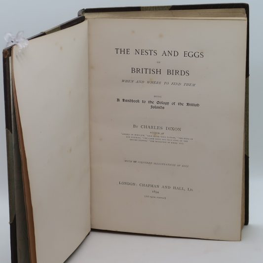 Nest and Eggs. Dixon. - Image 4