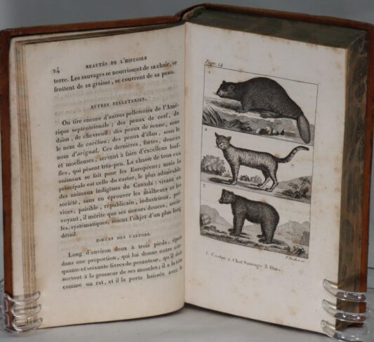Beautes De L'Histoire Du Canada. - Image 4