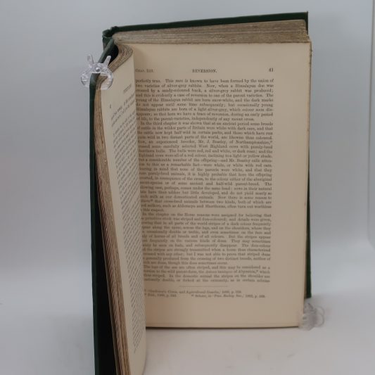 Animals and Plants under Domestication. Darwin. Vol. I. & II. - Image 7