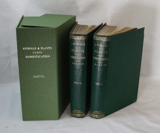Animals and Plants under Domestication. Darwin. Vol. I. & II. - Image 8