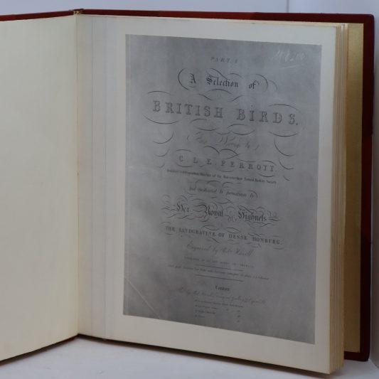 British Birds. Perrott. - Image 3