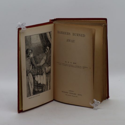 Barriers Burned Away. The Rainbow Library. - Image 3