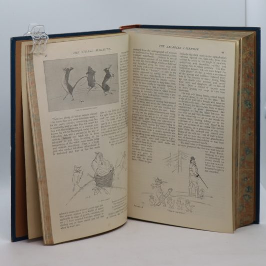 Strand Magazine. 22 Volumes.1894 to 1904. - Image 12
