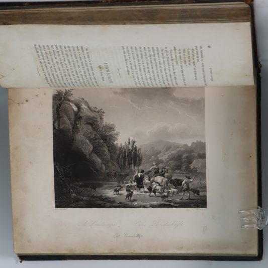 Dresden Gallery. Volumes I & II. - Image 7
