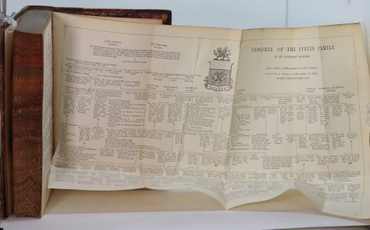 Evelyn's Diary. Volumes I, II, III & IV. - Image 3