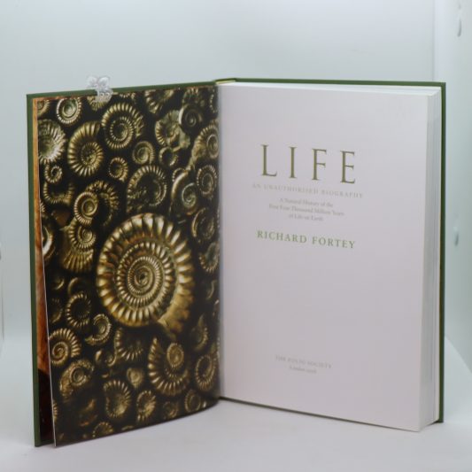 Life. - Image 4