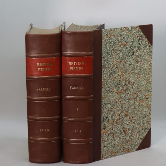 British Fishes. Volumes 1 & 2.