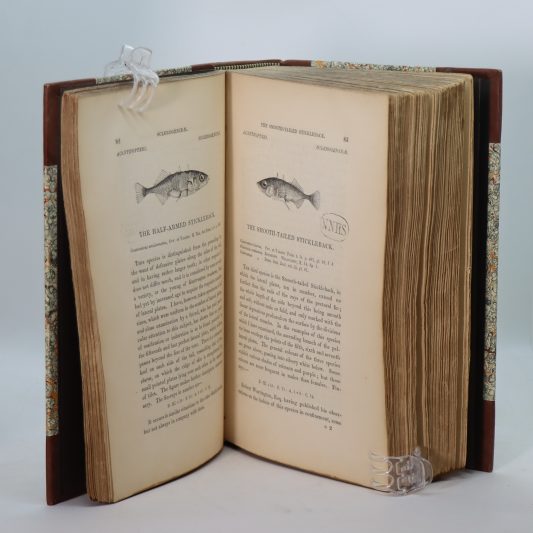 British Fishes. Volumes 1 & 2. - Image 8