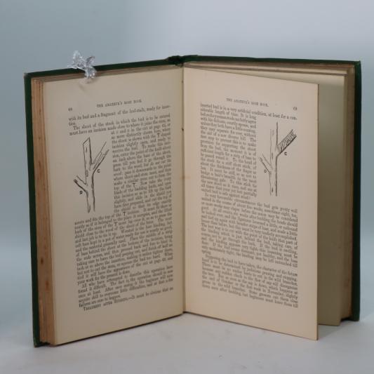 The Amateur's Rose Book. - Image 4