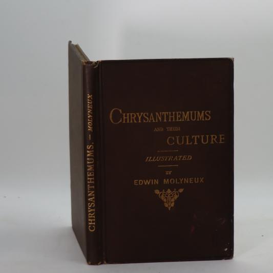 Chrysanthemums and their Culture.