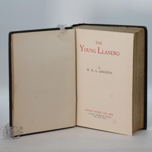 The Young Llanero. - Image 5