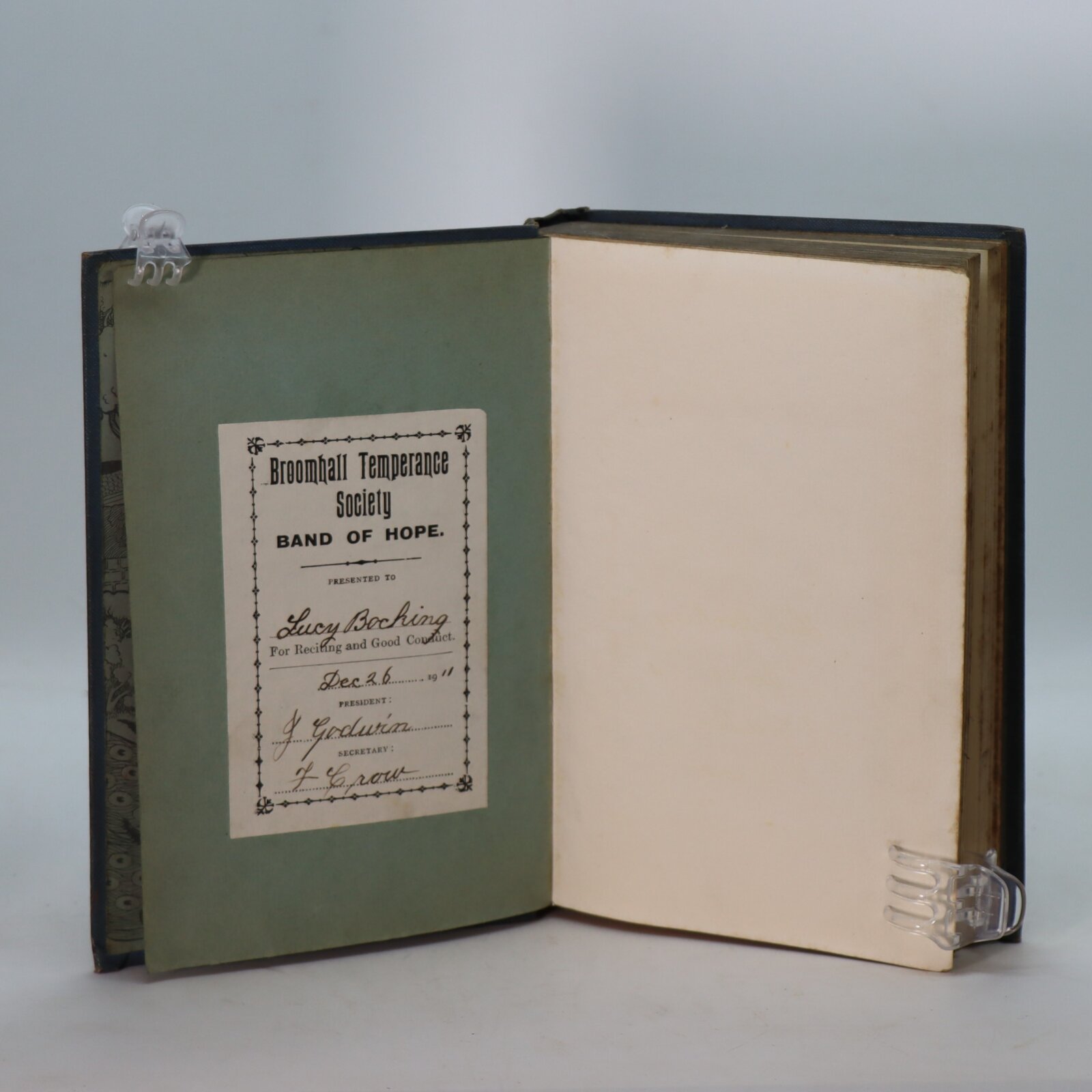 Home Sunshine. - Image 4