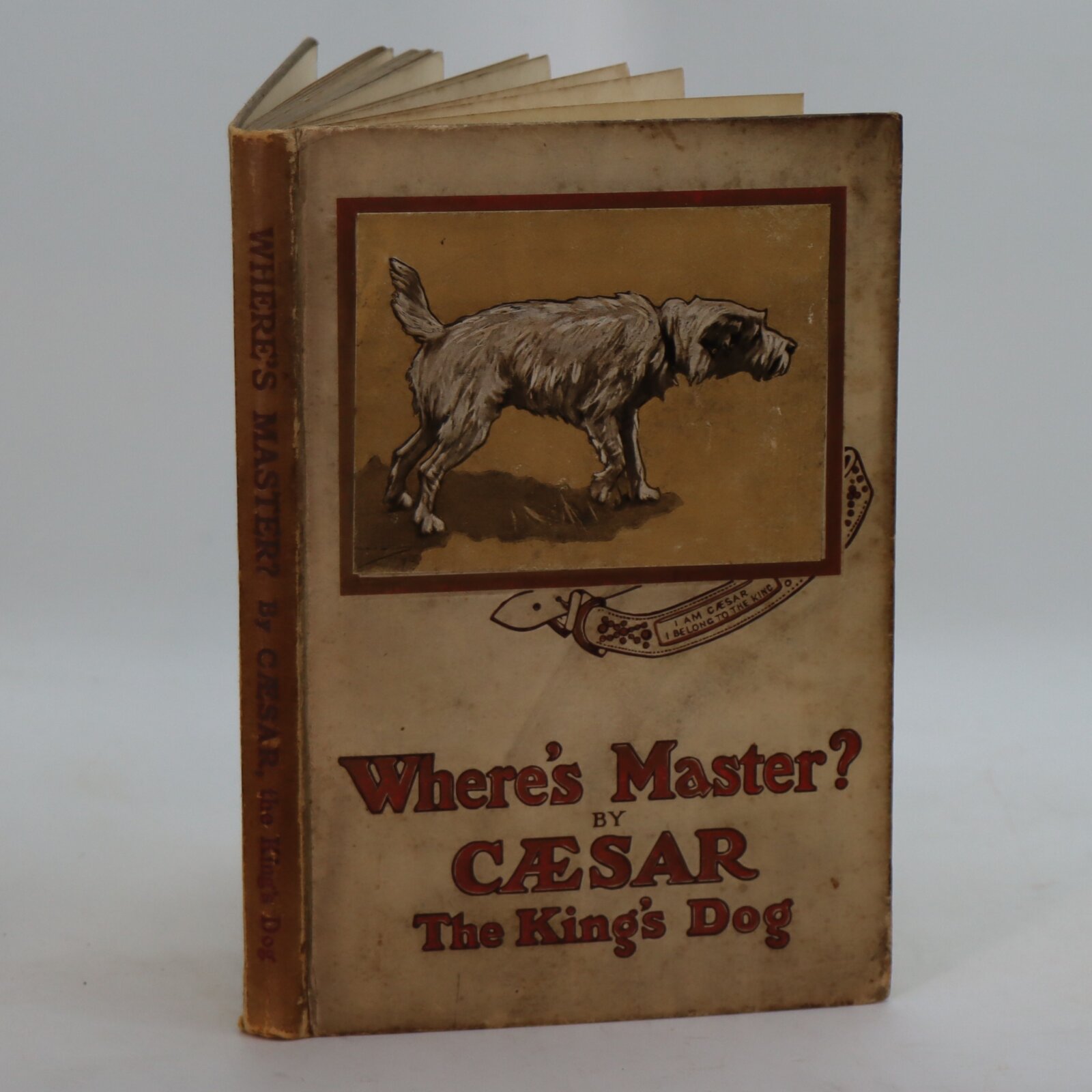 Photo of Where’s Master?