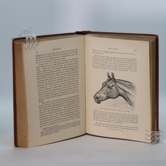 Hunting. The Badminton Library. - Image 6