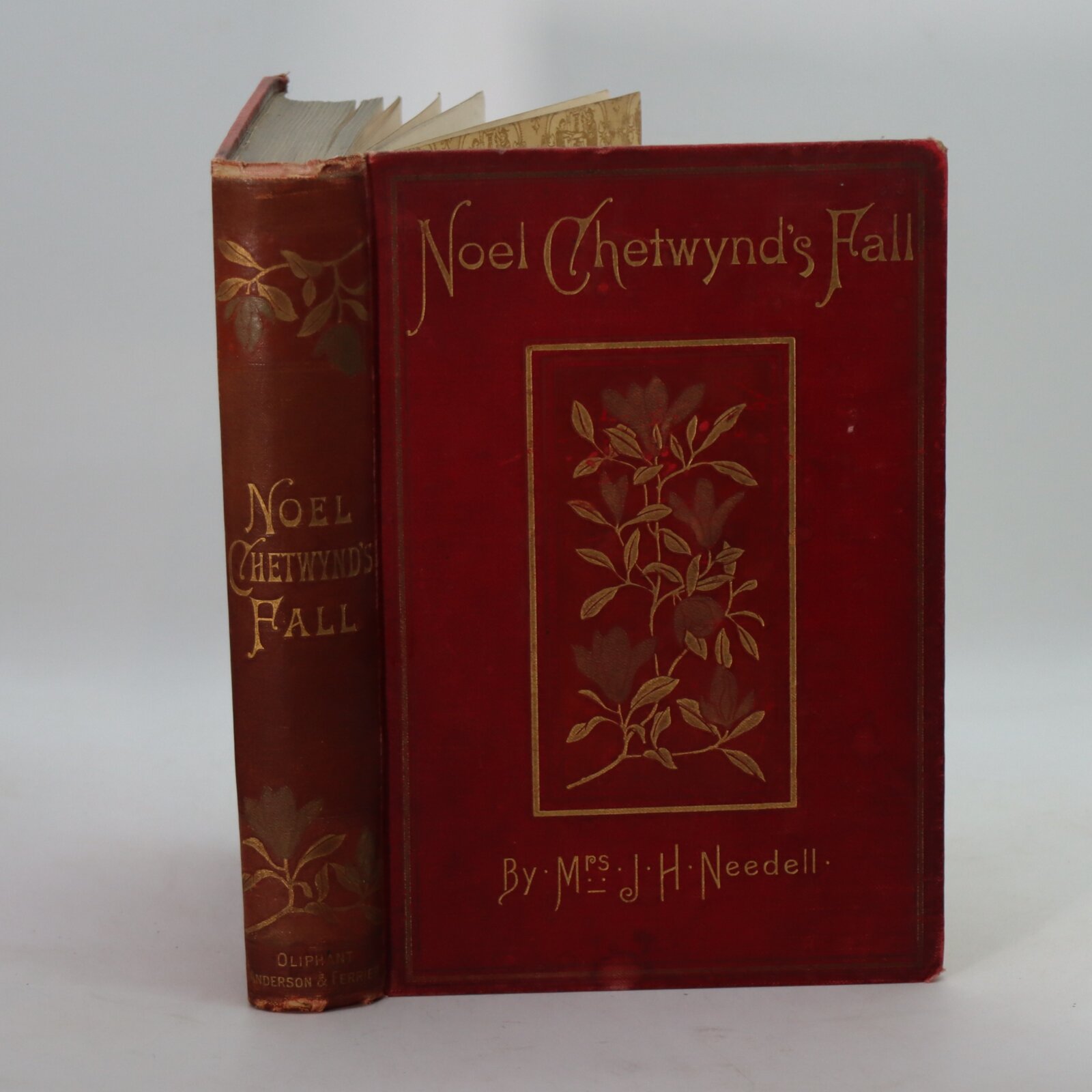 Photo of Noel Chetwynd’s Fall.