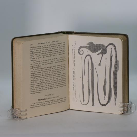 The Fishes of the British Isles. - Image 4