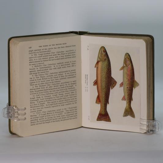 The Fishes of the British Isles. - Image 5
