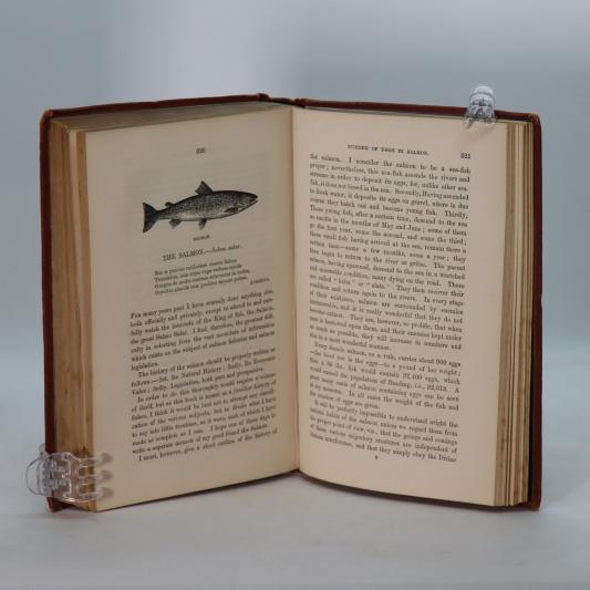 Familiar History of British Fishes. - Image 8
