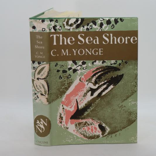 The Sea Shore.