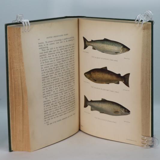 British Freshwater Fishes. - Image 5