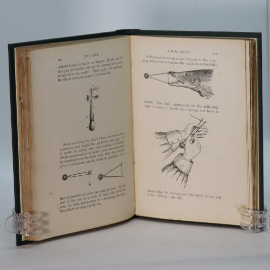 Pike and Perch. - Image 5