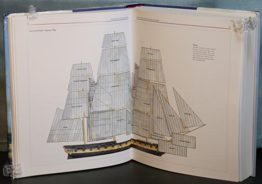 The Trafalgar Companion. - Image 4