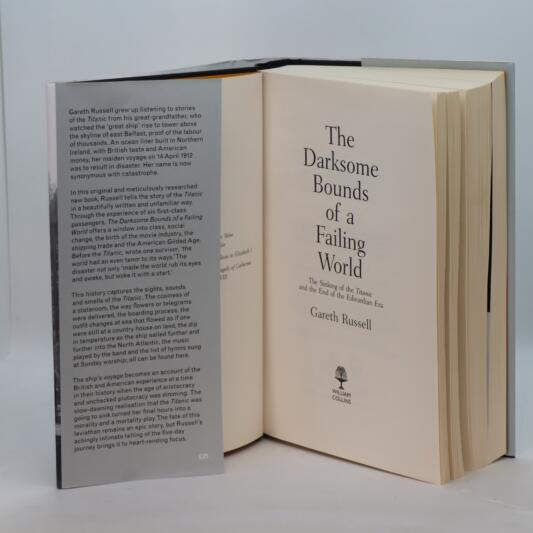 The Darksome Bounds of a Failing World. - Image 3
