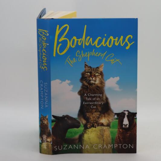 Bodacious. The Shepherd Cat.