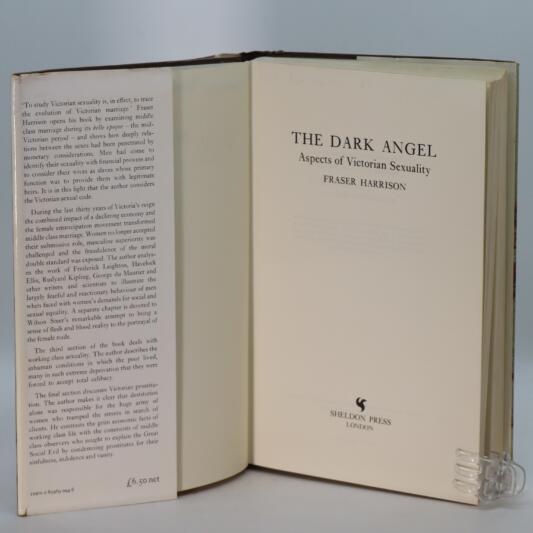The Dark Angel. - Image 3