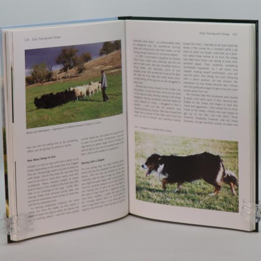 Sheepdog Training and Trials. - Image 4