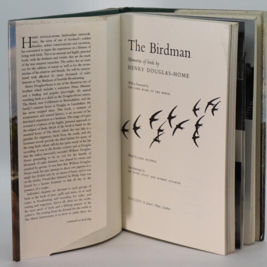 The Birdman. - Image 4