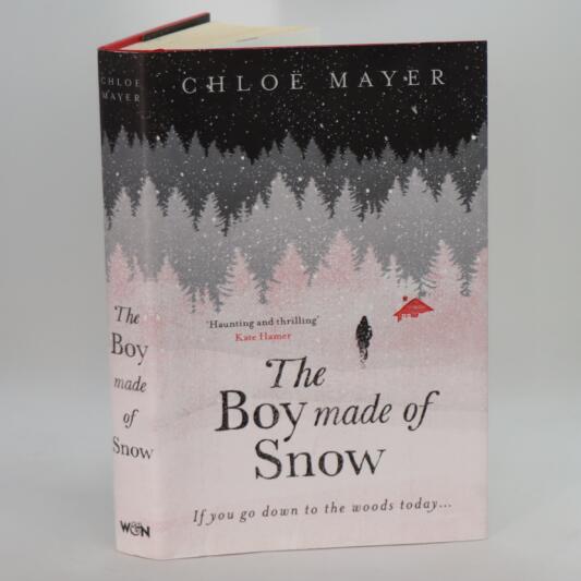 The Boy Made of Snow.