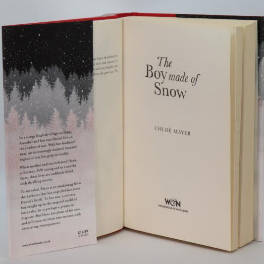 The Boy Made of Snow. - Image 3