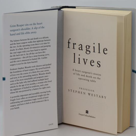 Fragile Lives. - Image 3