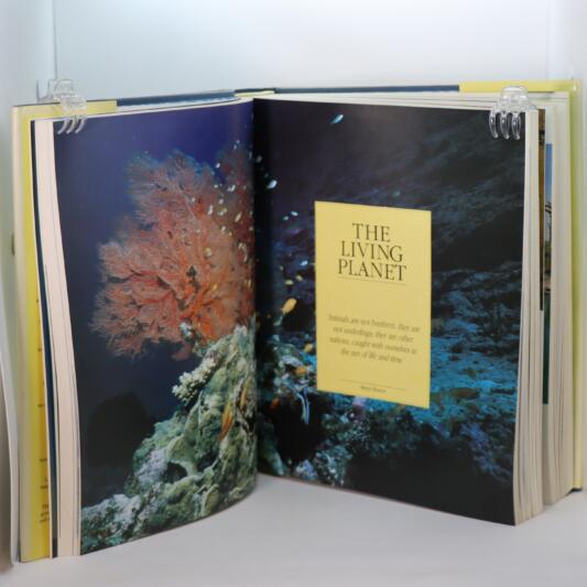 The Guinness Encyclopedia. - Image 3