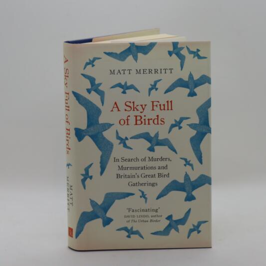 A Sky Full of Birds.