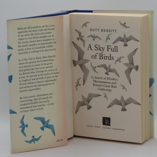 A Sky Full of Birds. - Image 3