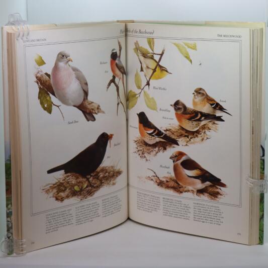 A Companion to the British Countryside. - Image 4