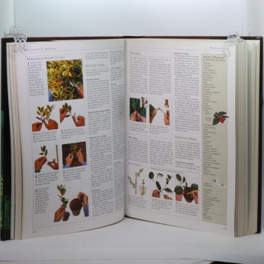 Encyclopedia of Gardening. - Image 4