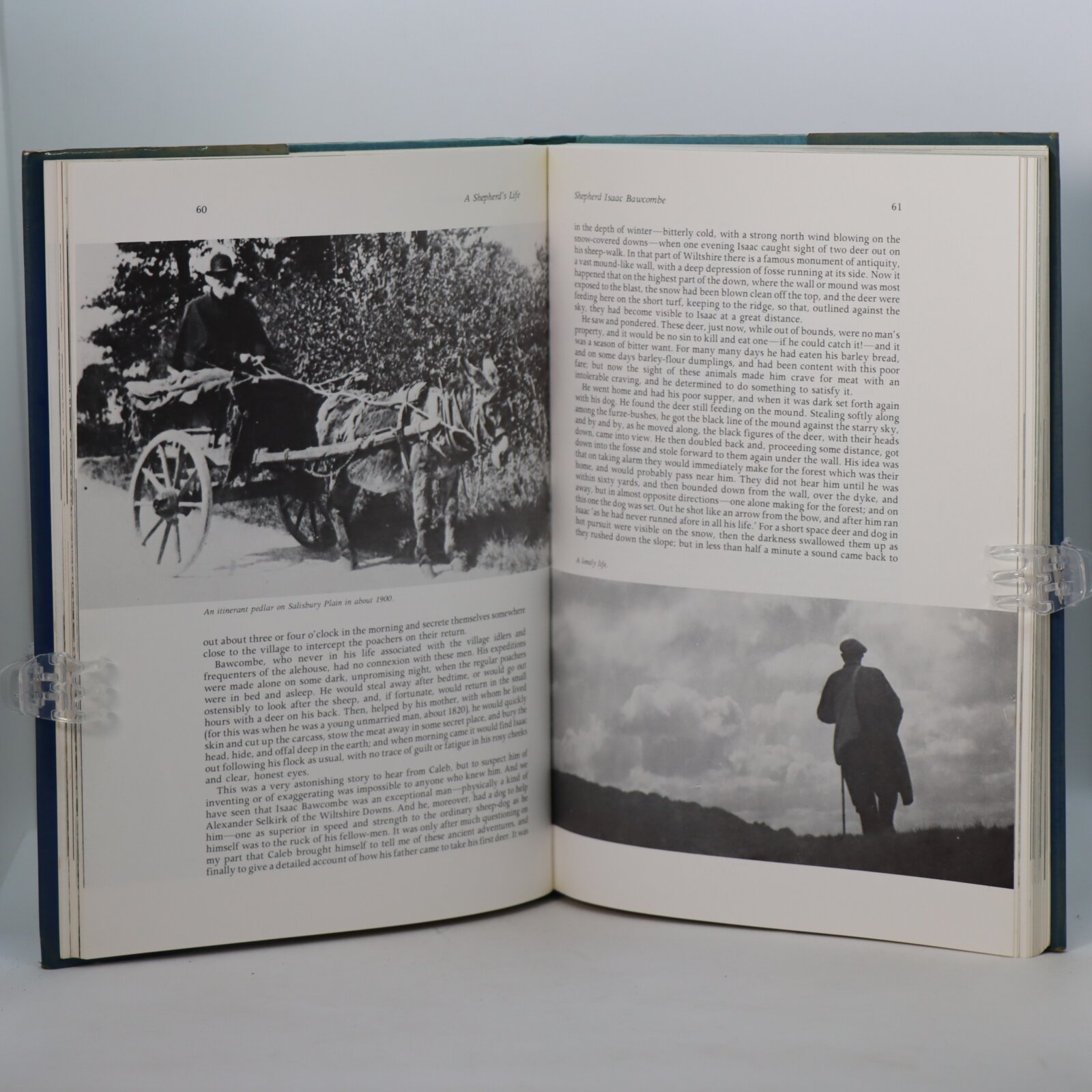 A Shepherd's Life. - Image 4