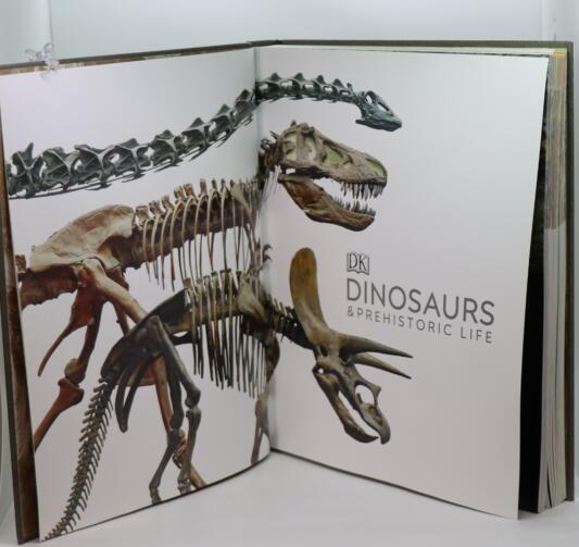 Dinosaurs and Prehistoric Life. - Image 3