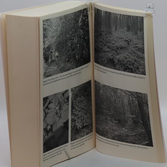 Woodlands. - Image 4