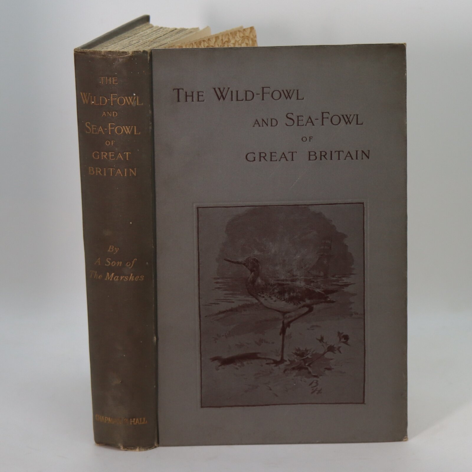 Photo of The Wild-Fowl and Sea-Fowl of Great Britain.
