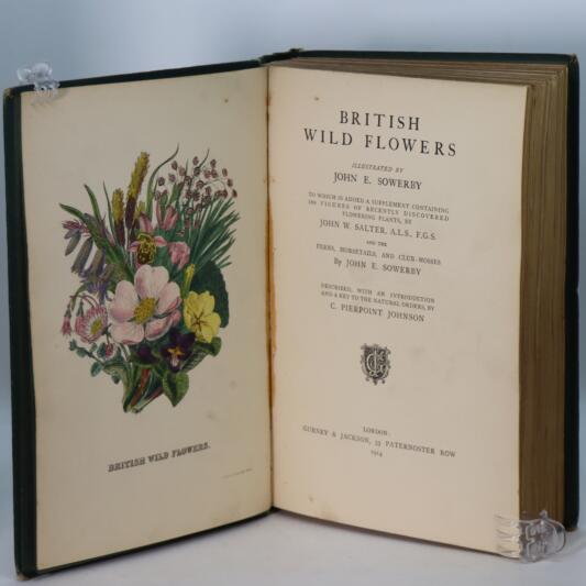 British Wild Flowers. - Image 3