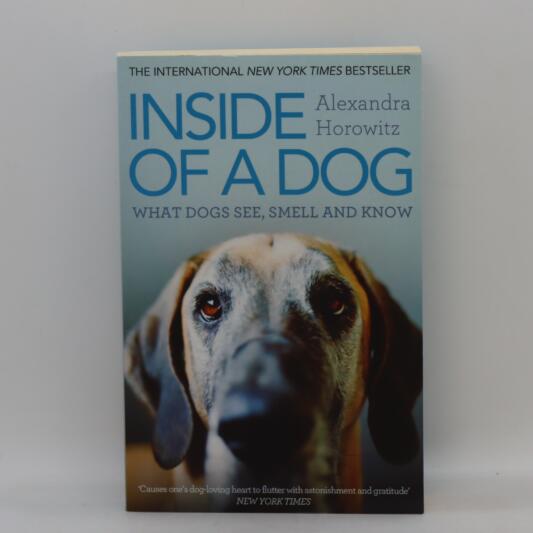 Inside of a Dog.